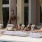 Amenity Lifestyle Pool
